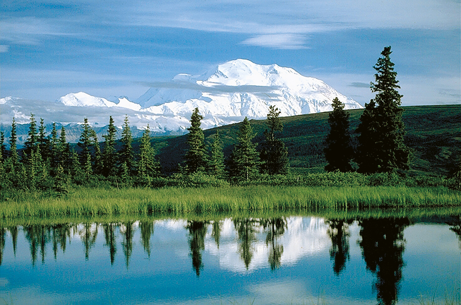 Nyfjell.jpg